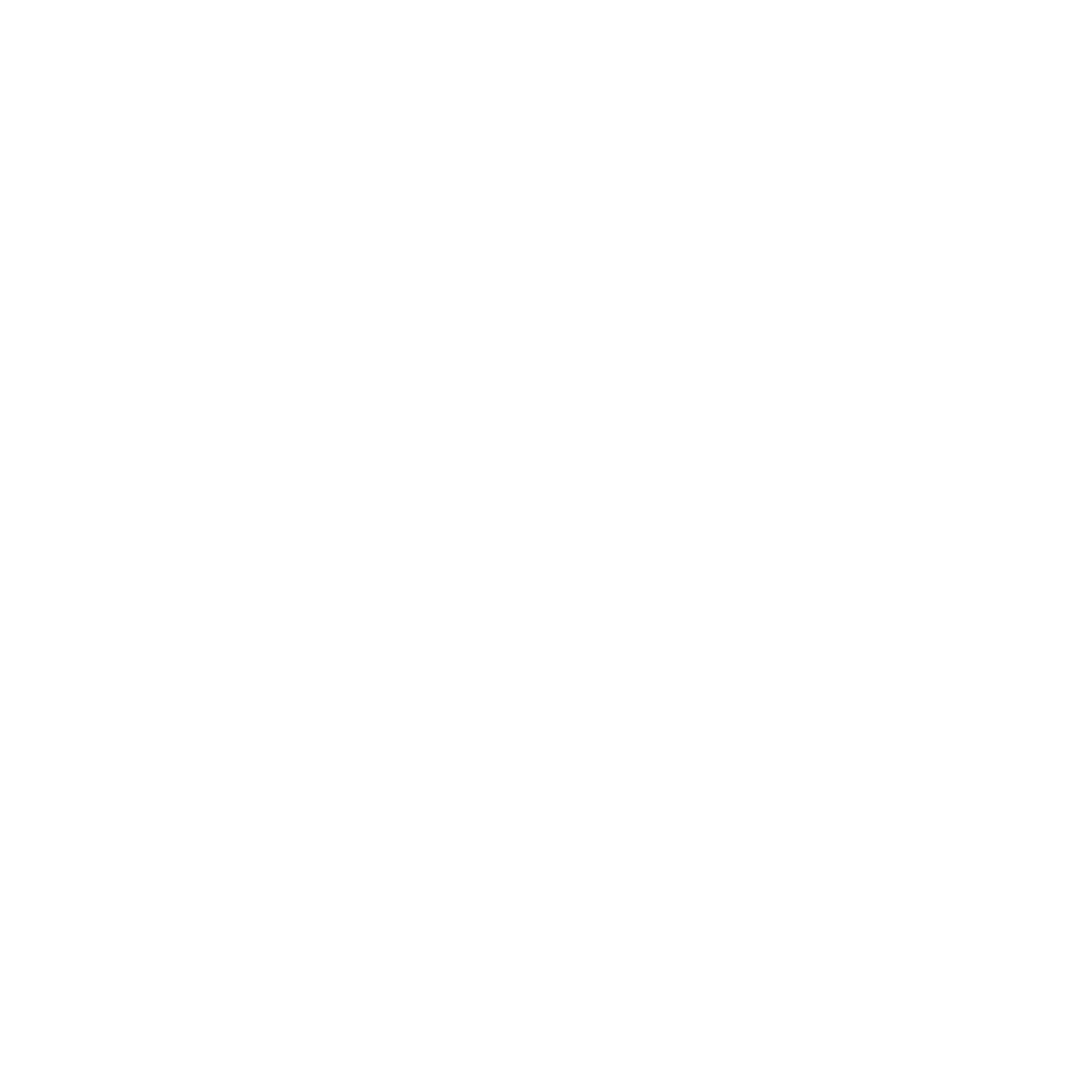 Bionic White Logo