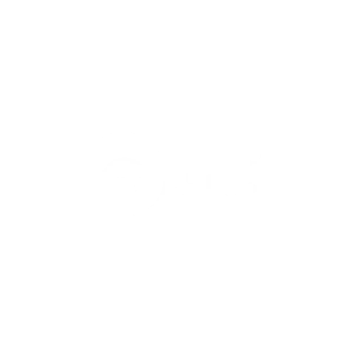Ttrl Logo White